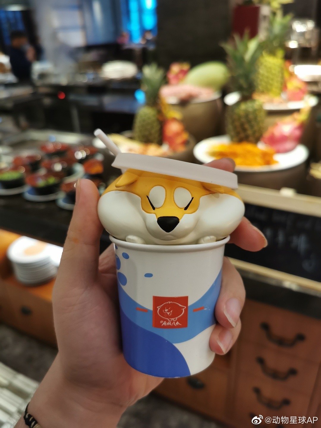 Fast Food Series Shiba Inu Figure