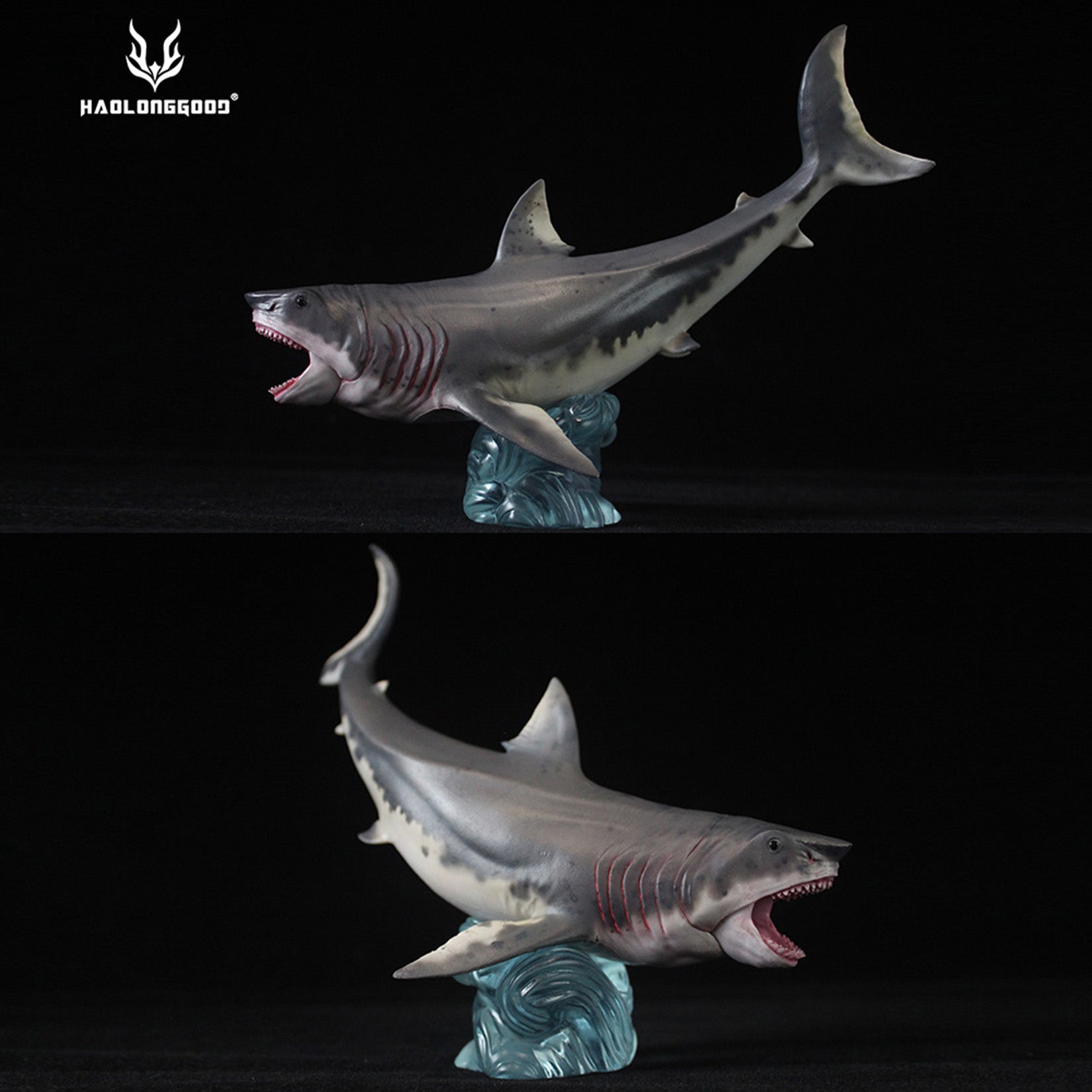HAOLONGGOOD Megalodon Model