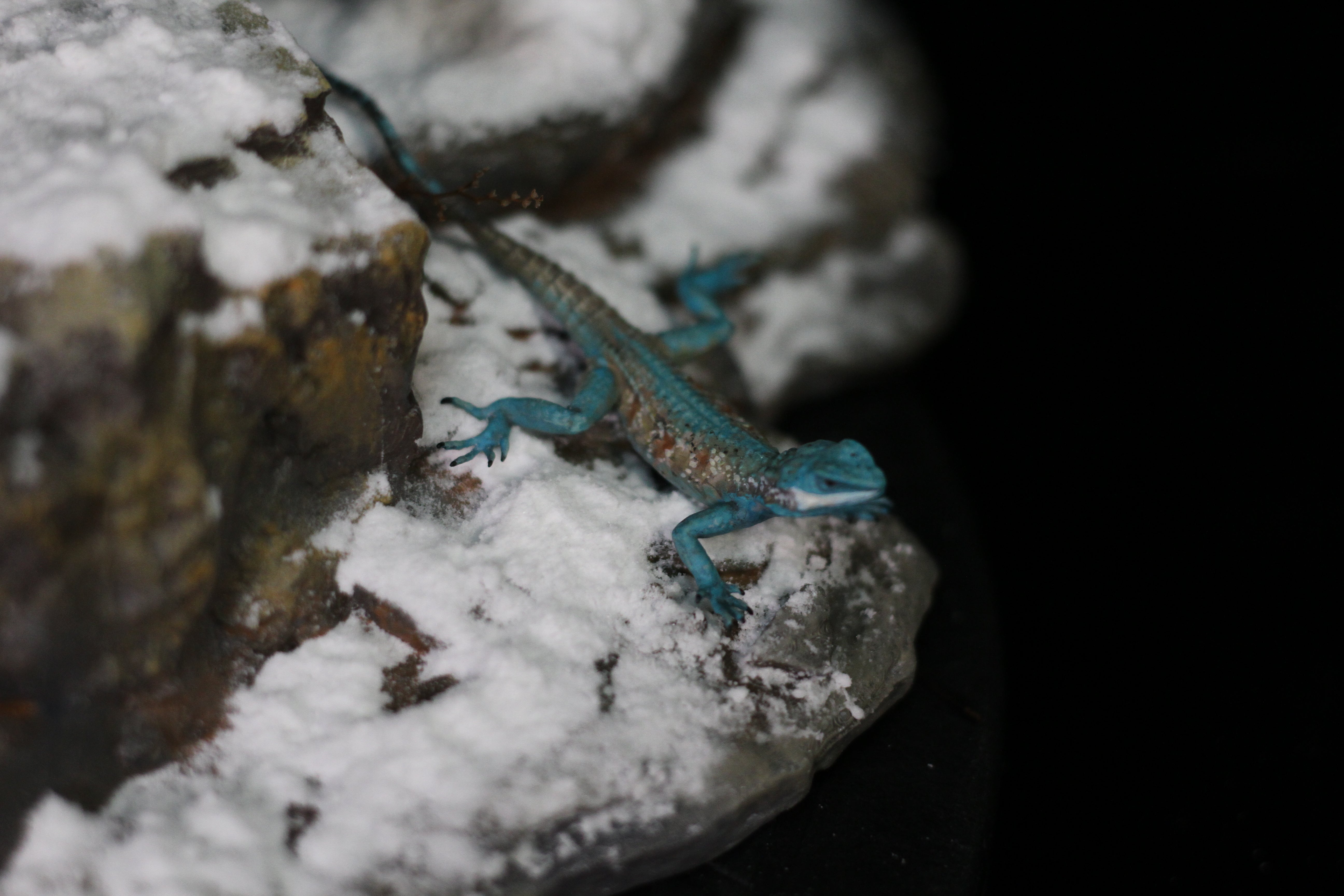 Yutyrannus Scene Statue