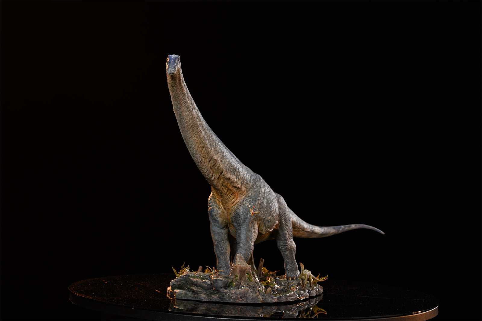 MuSee Studio 1/35 Dreadnoughtus schrani Scene Statue