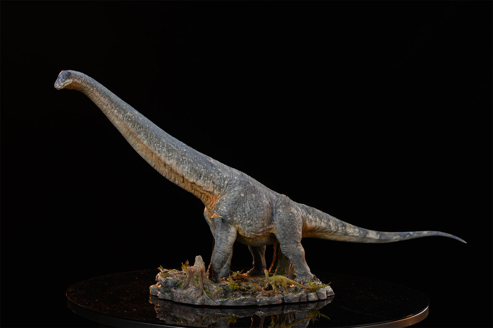 MuSee Studio 1/35 Dreadnoughtus schrani Scene Statue