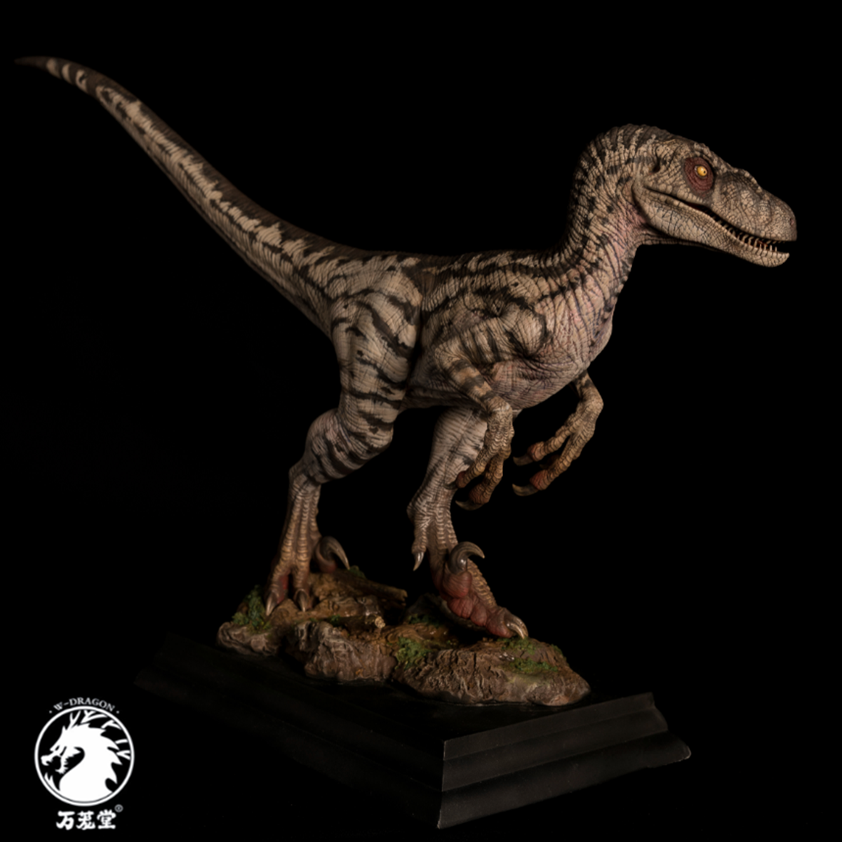 W-Dragon 1/8 Deinonychus Statue