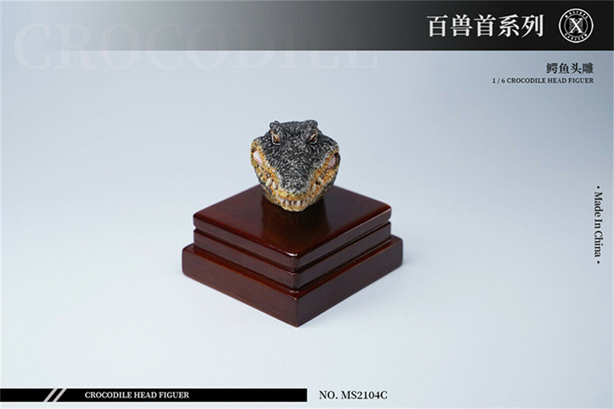 Mostoys 1/6 Crocodile Head Figure