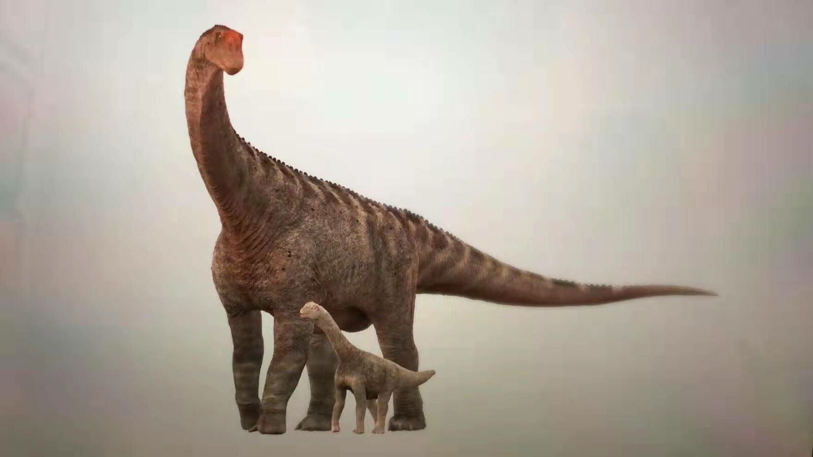 LINGHU ART STUDIO 1:35 Scale Camarasaurus father and son Model Kit