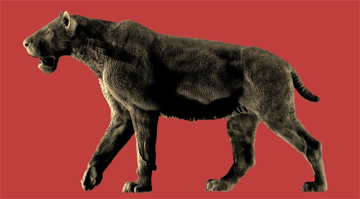 Sabertooth Model Unpainted Kit