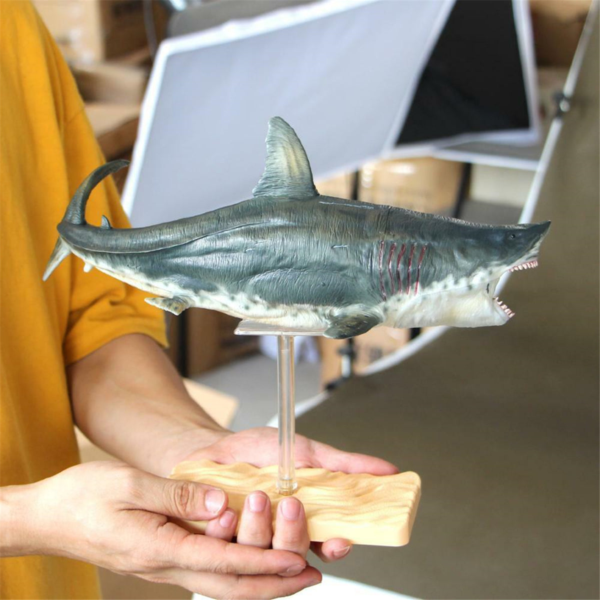 PNSO Patton the Megalodon Figure