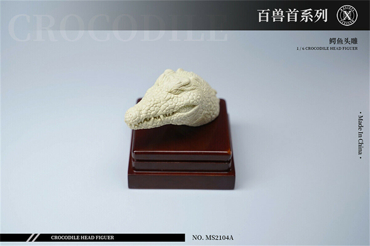 Mostoys 1/6 Crocodile Head Figure