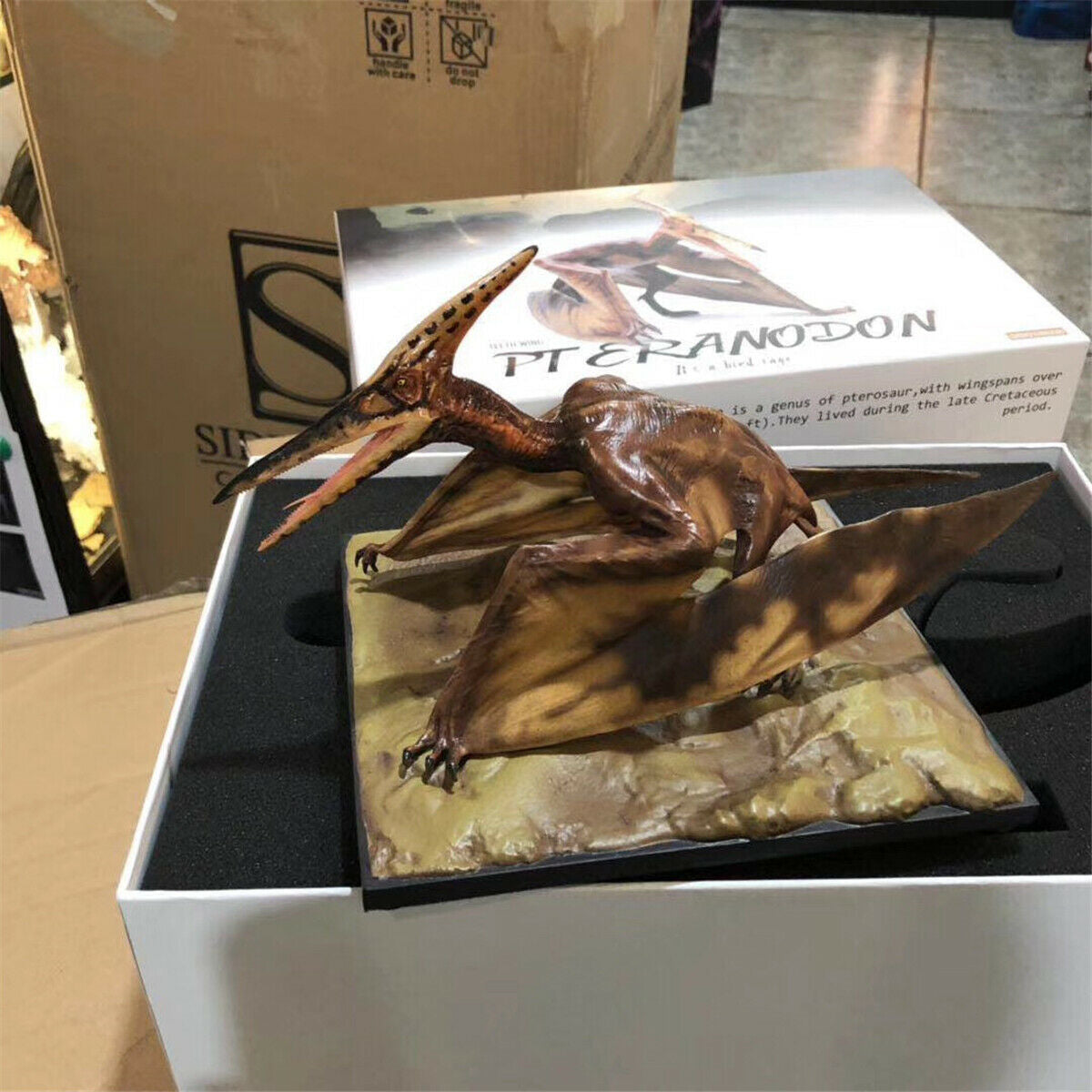 DINO DREAM 1/15 Pteranodon Statue