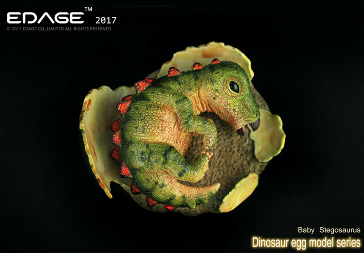 EDAGE Stegosaurus Baby Dinosaur Egg Figure