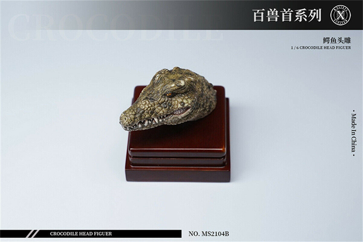 Mostoys 1/6 Crocodile Head Figure
