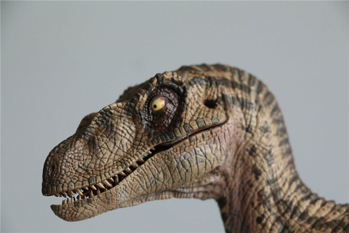 W-Dragon 1/8 Deinonychus Statue