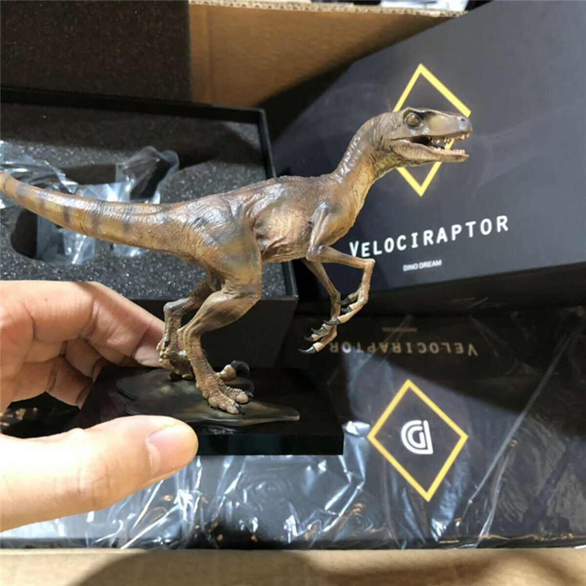 DINO DREAM Tyrannosaurus T Rex & Velociraptor Set Statue