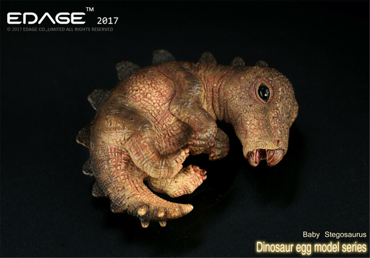 EDAGE Stegosaurus Baby Dinosaur Egg Figure