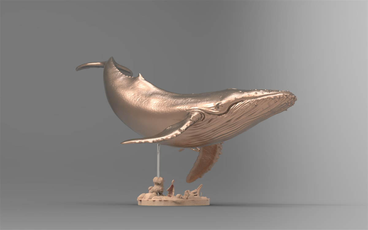 1/35 Humpback Whale Model