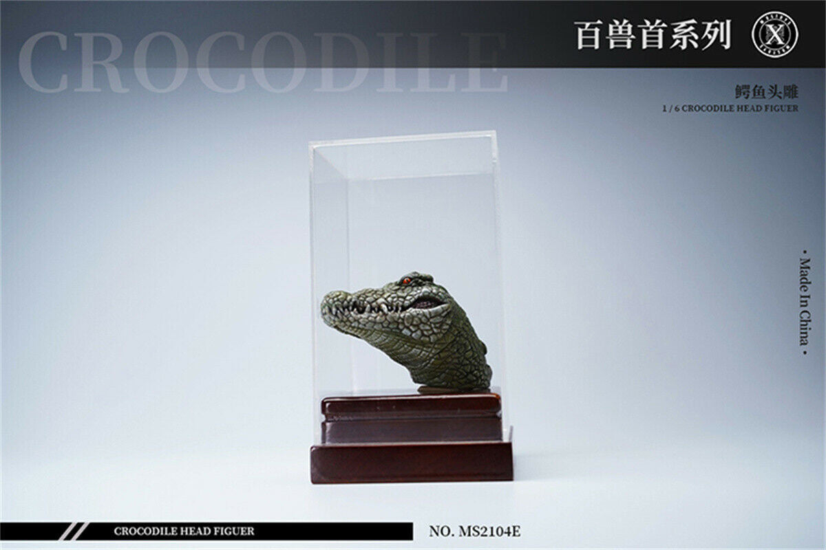 Mostoys 1/6 Crocodile Head Figure
