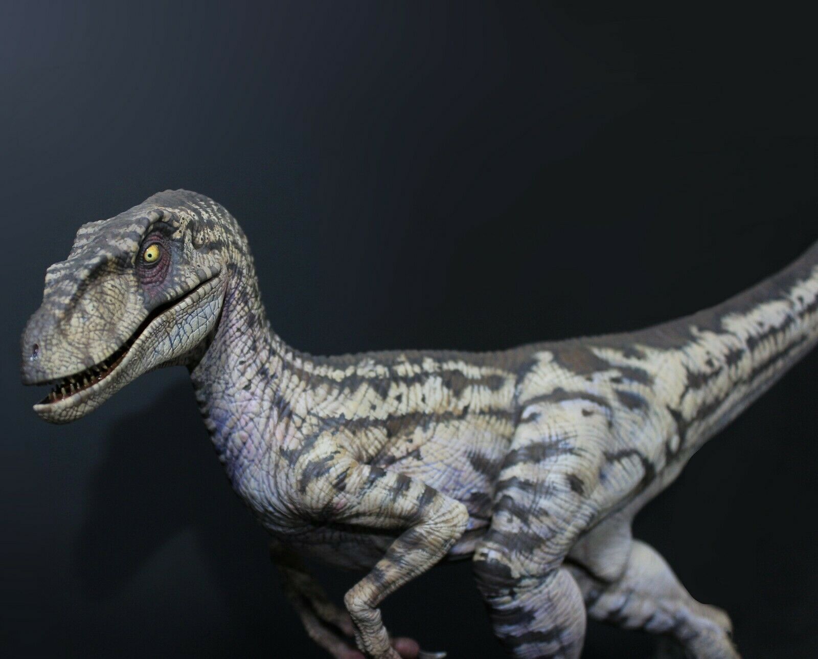 W-Dragon 1/8 Deinonychus Statue