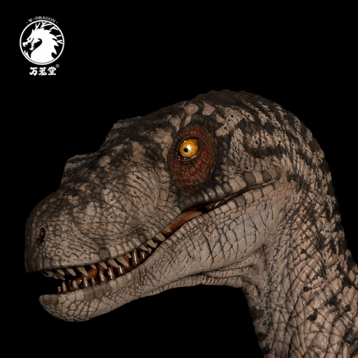 W-Dragon 1/8 Deinonychus Statue