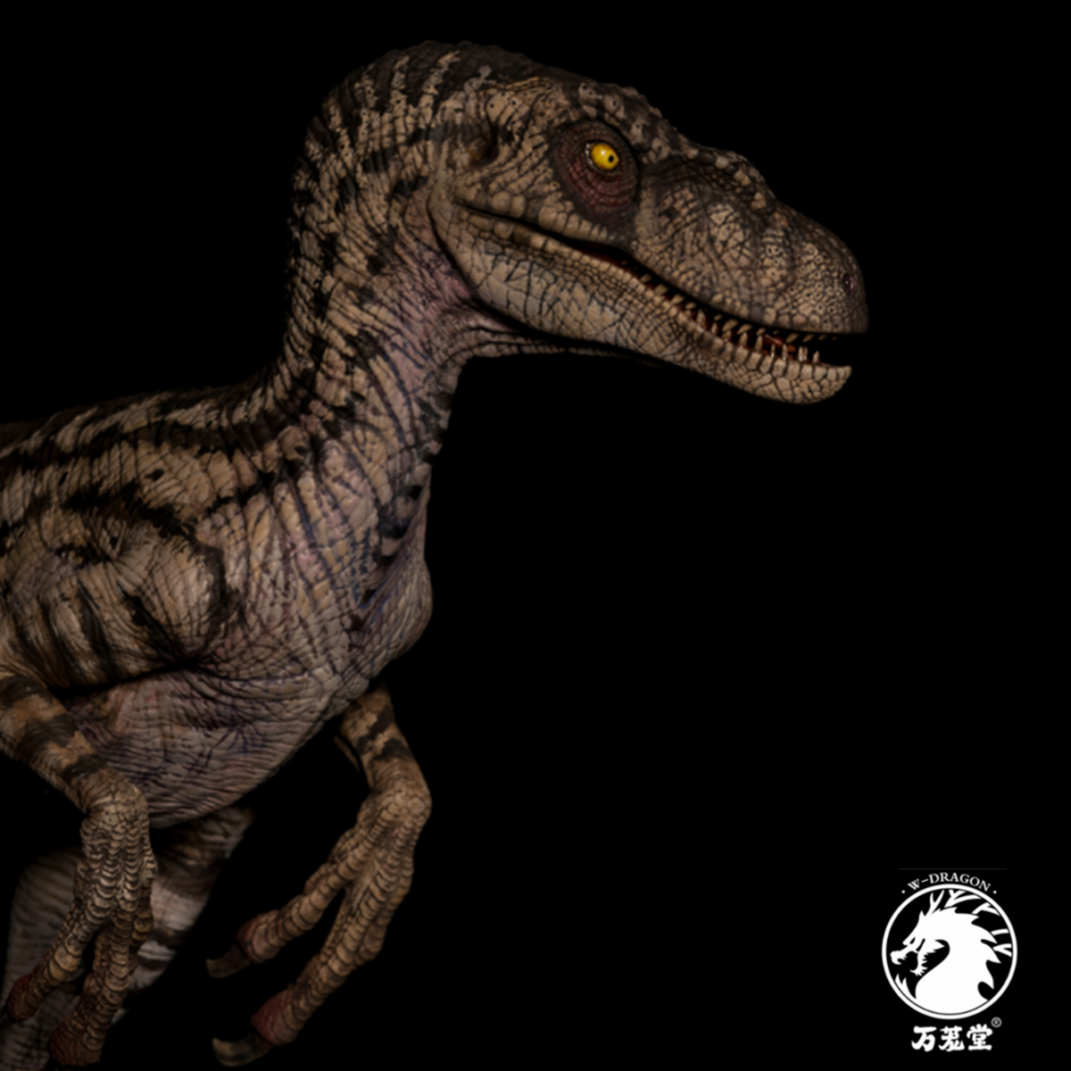 W-Dragon 1/8 Deinonychus Statue