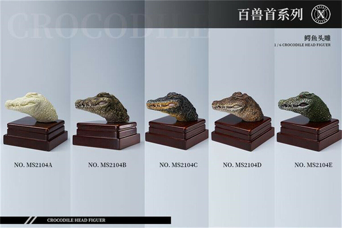 Mostoys 1/6 Crocodile Head Figure