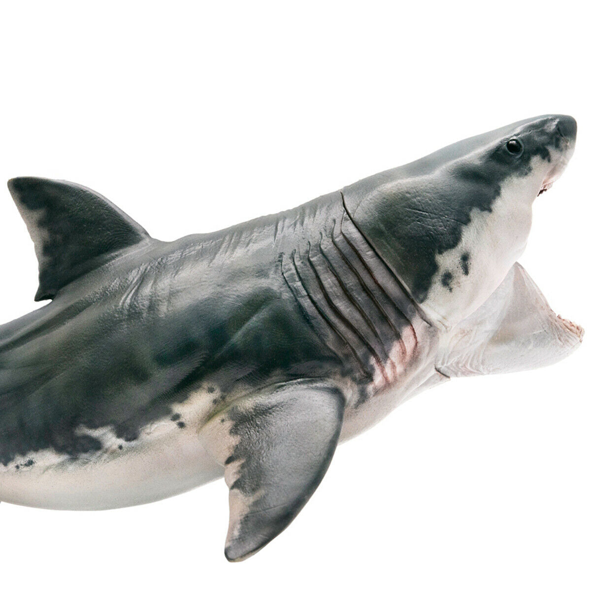 PNSO Megalodon Figure