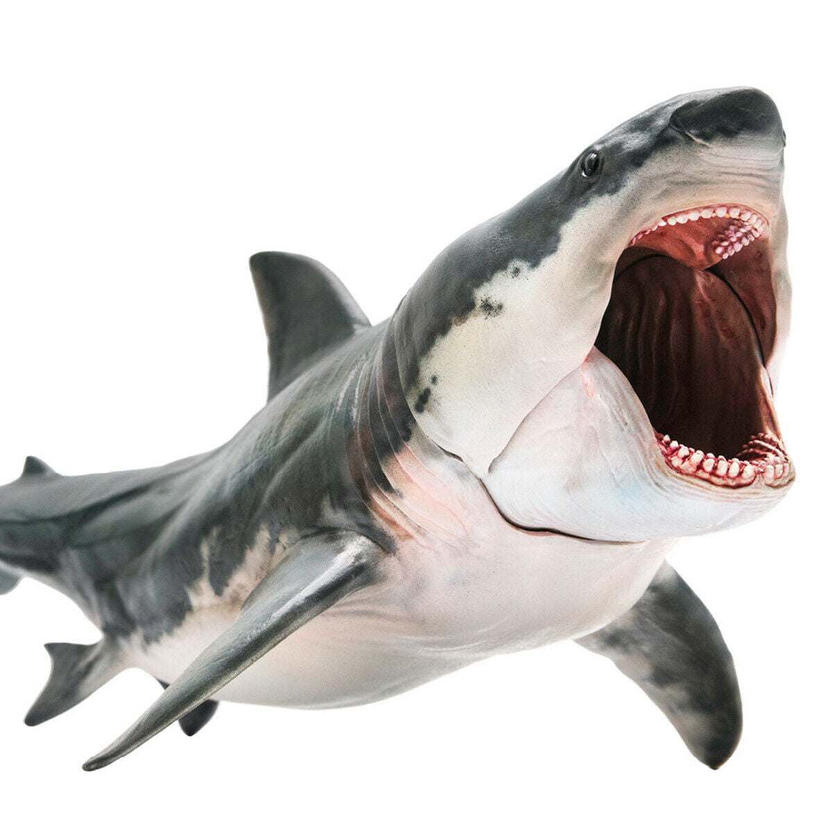 PNSO Megalodon Figure