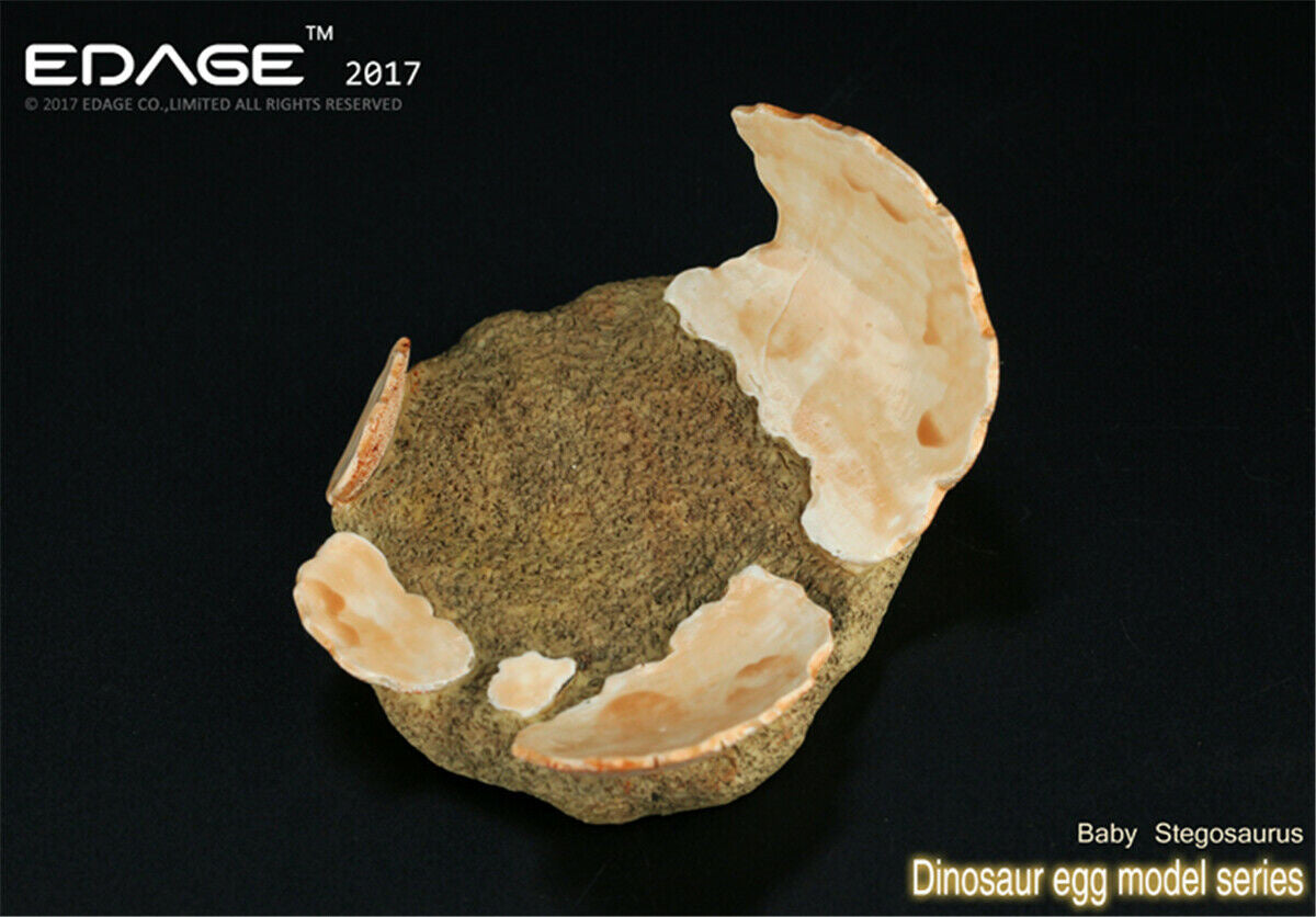 EDAGE Stegosaurus Baby Dinosaur Egg Figure