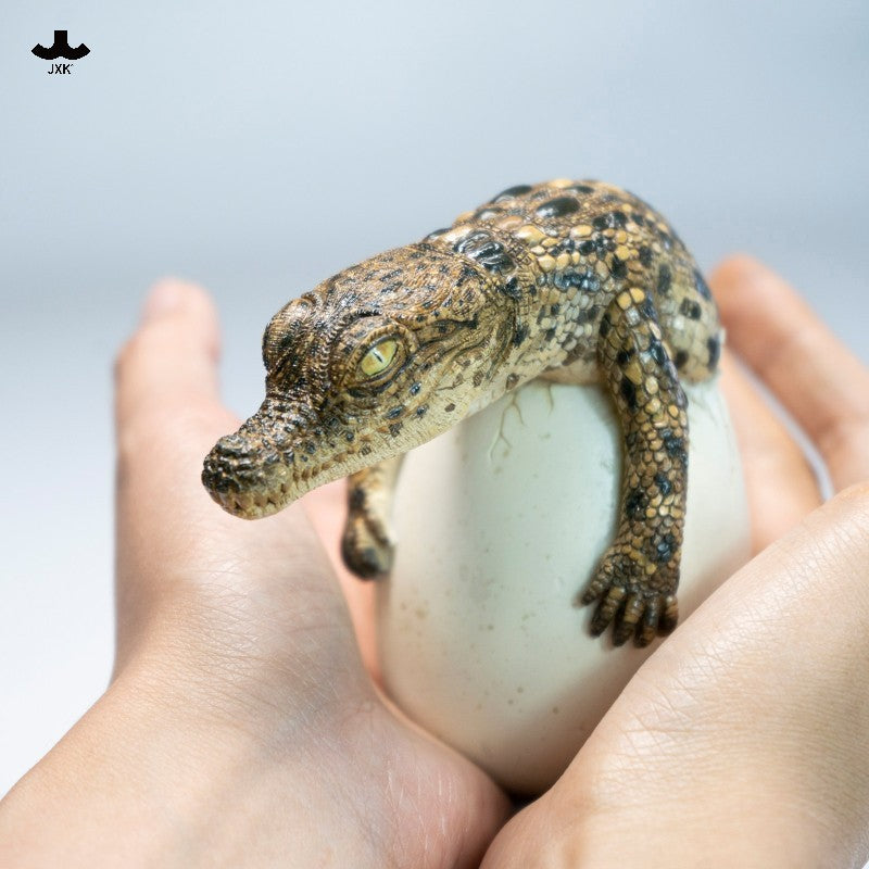 JXK Hatchling Crocodile Model