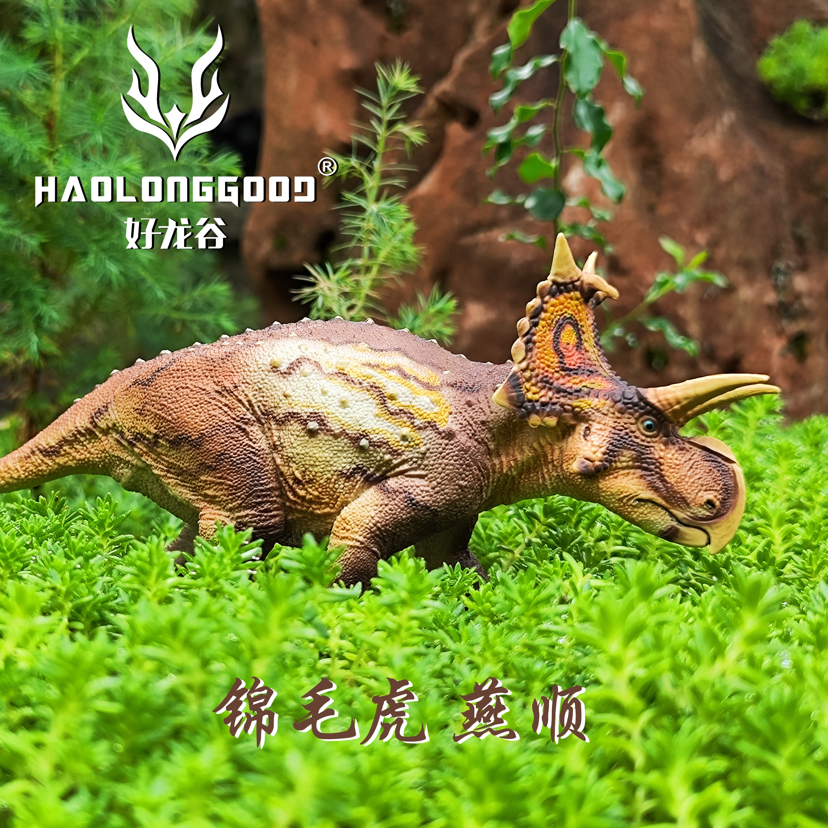 HAOLONGGOOD 1:35 Scale Xenoceratops Model