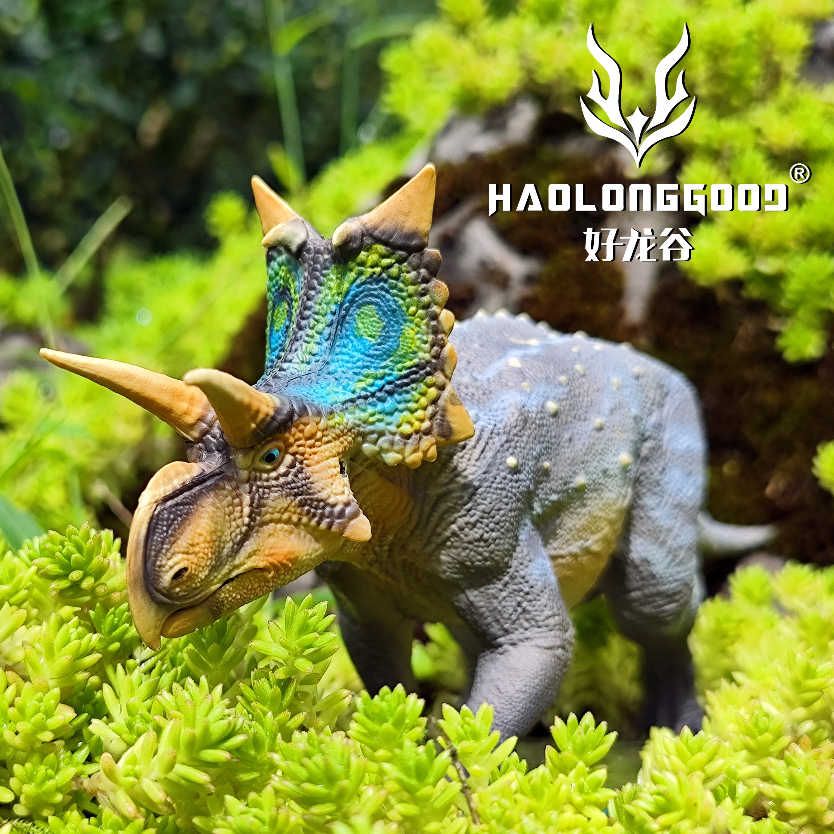 HAOLONGGOOD 1:35 Scale Xenoceratops Model