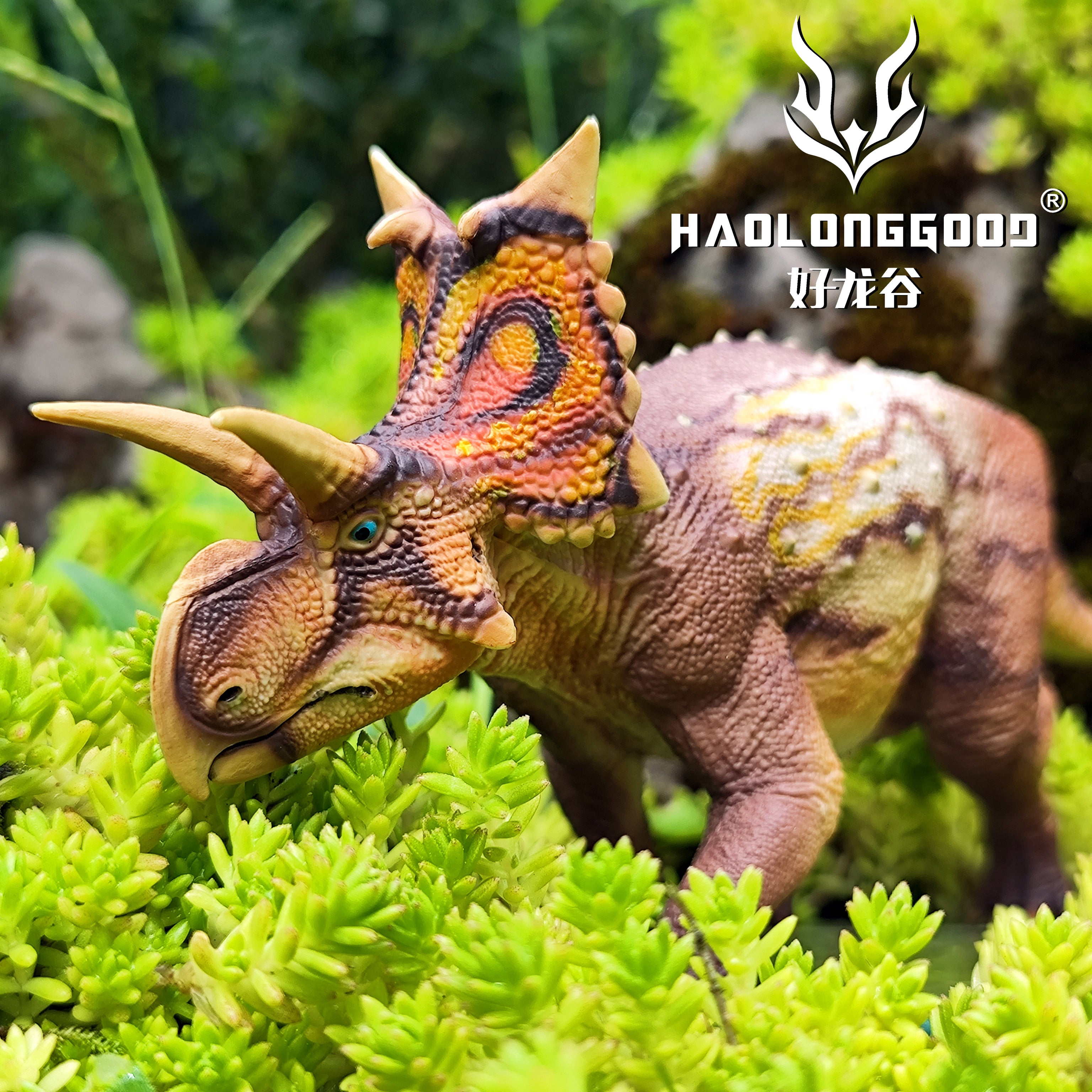 HAOLONGGOOD 1:35 Scale Xenoceratops Model
