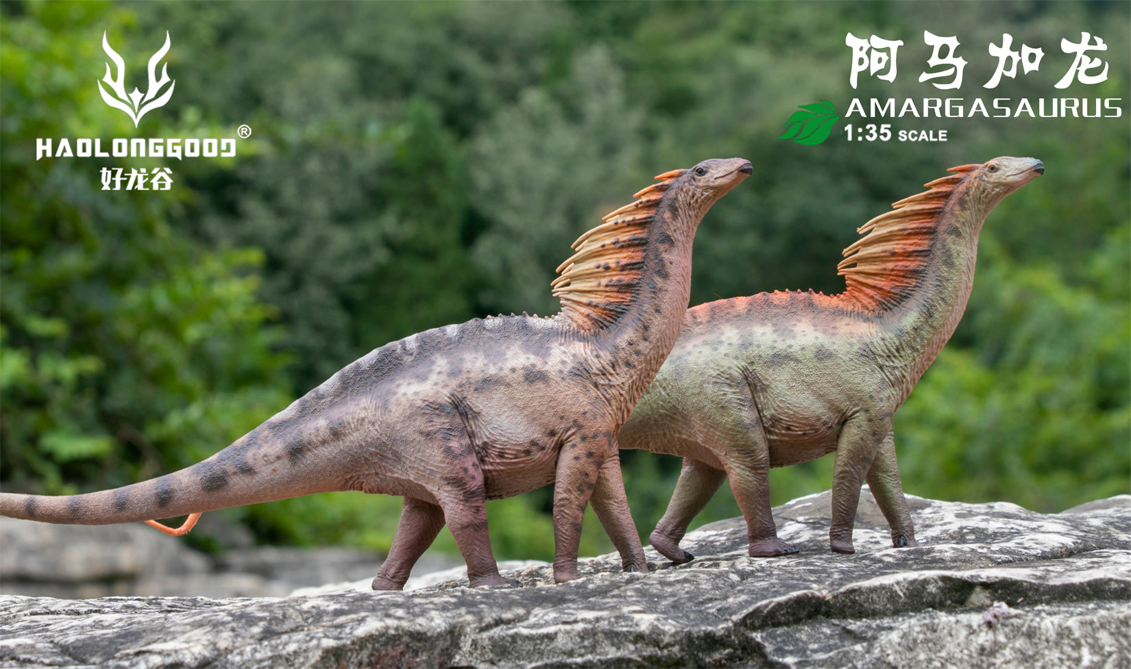 HAOLONGGOOD 1:35 Scale Amargasaurus Model