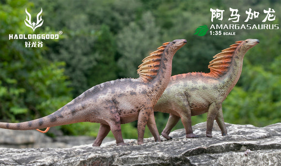 HAOLONGGOOD 1:35 Scale Amargasaurus Model