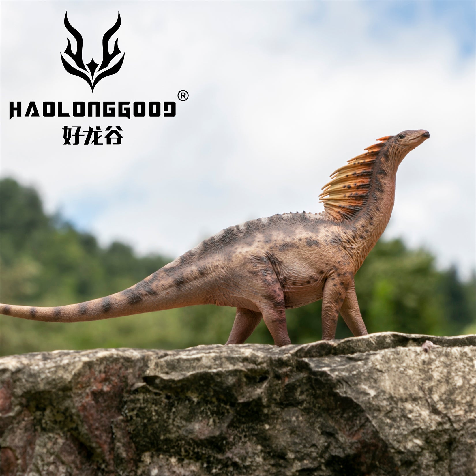 HAOLONGGOOD 1:35 Scale Amargasaurus Model