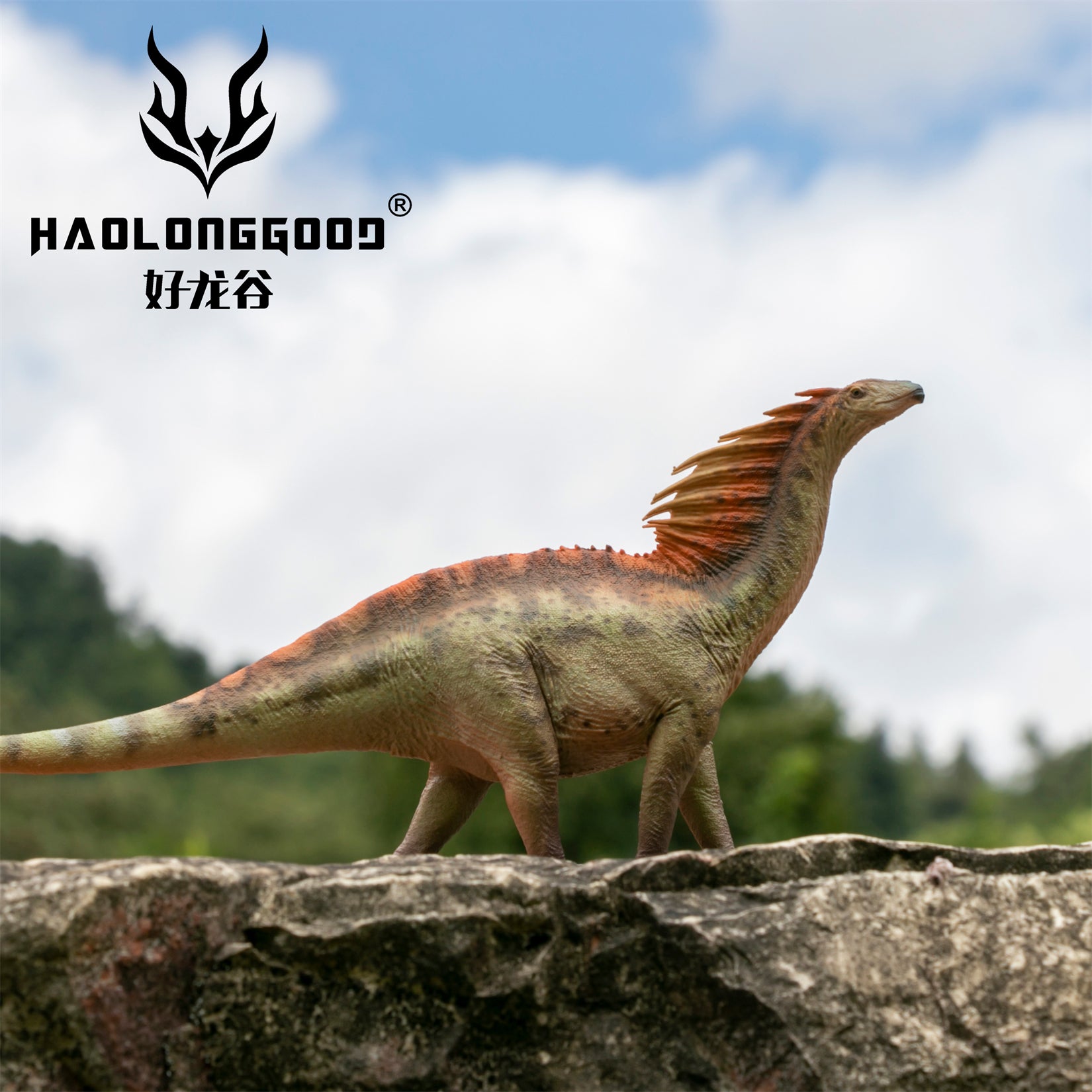 HAOLONGGOOD 1:35 Scale Amargasaurus Model