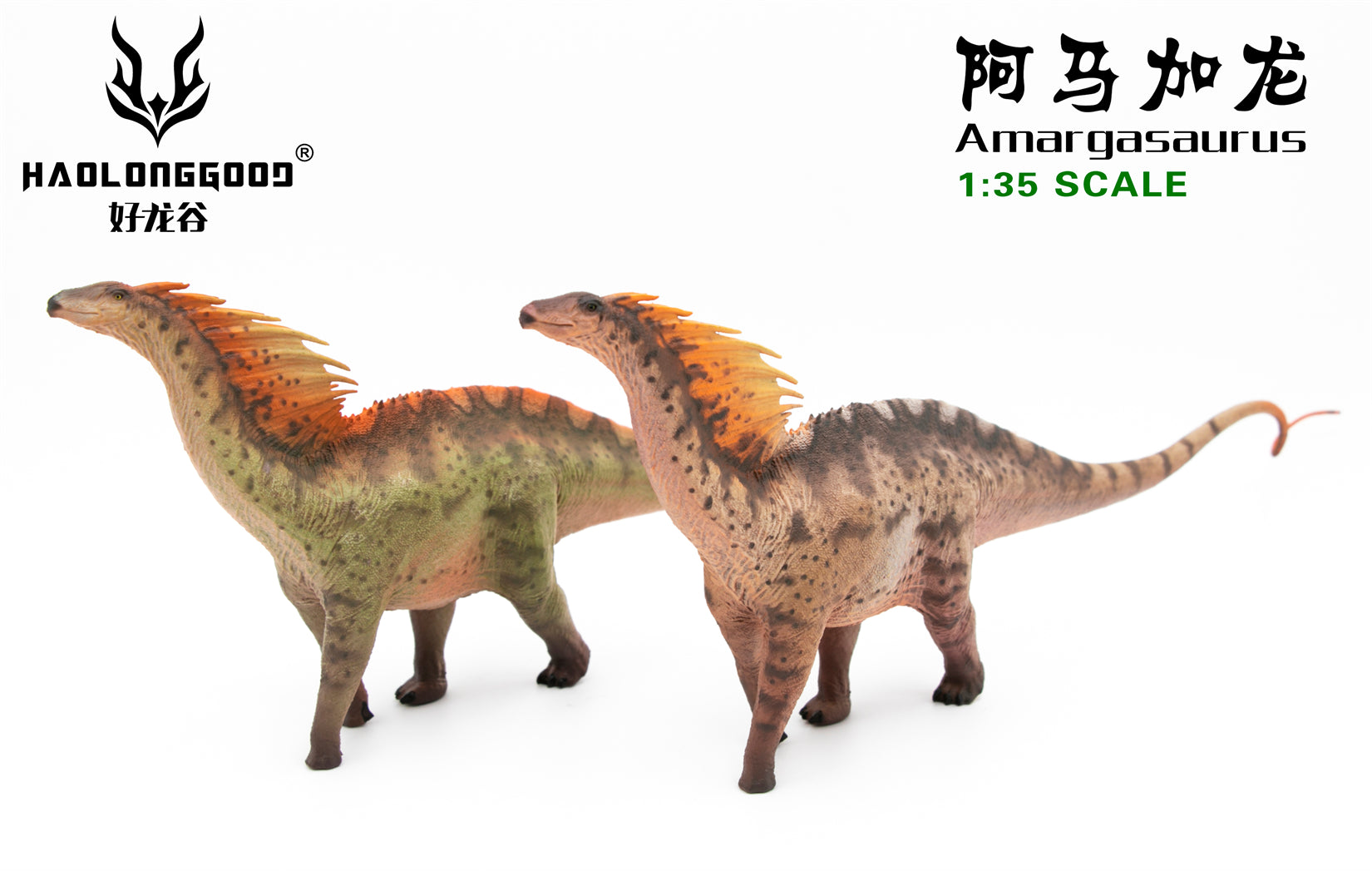 HAOLONGGOOD 1:35 Scale Amargasaurus Model