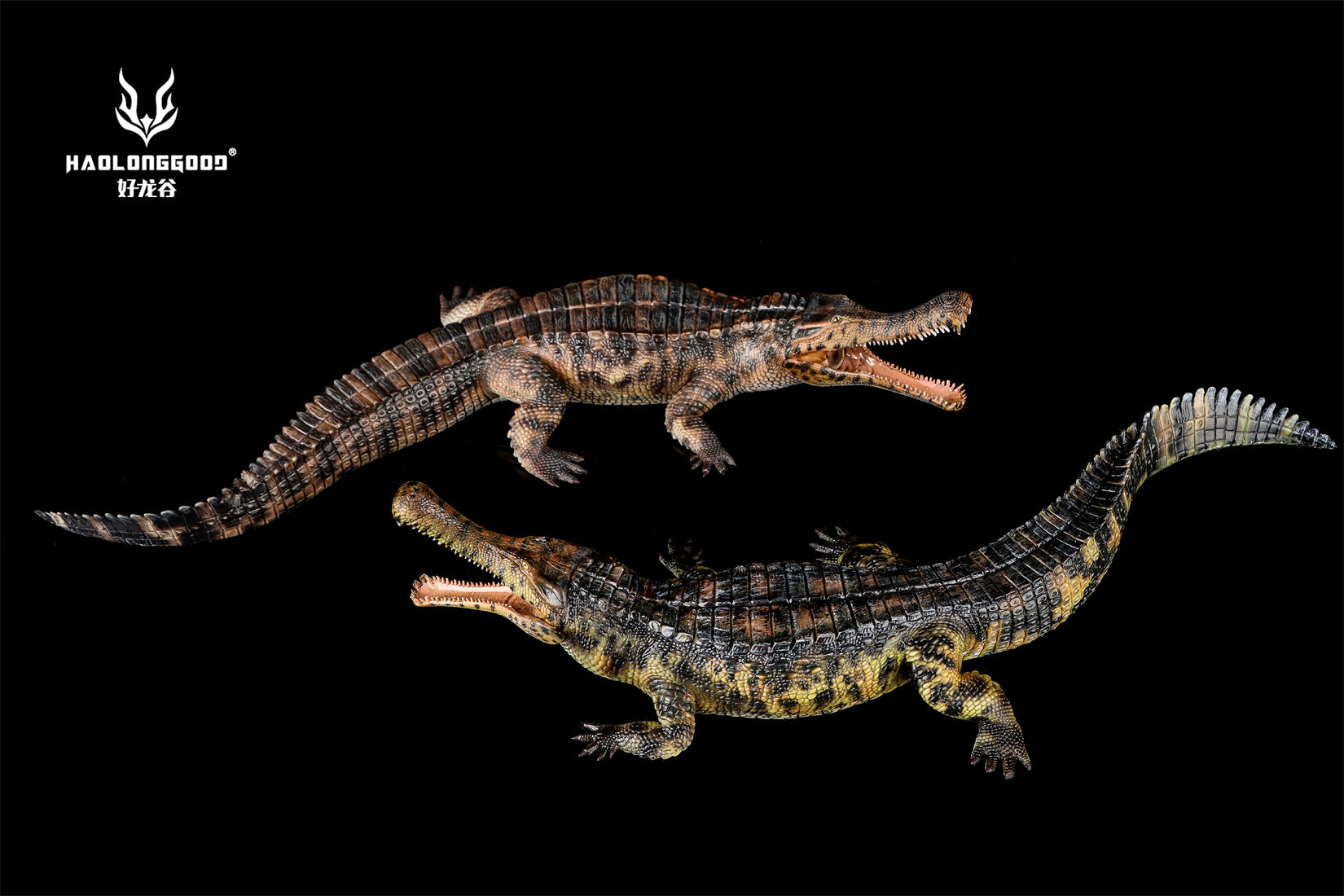 HAOLONGGOOD 1:35 Scale Sarcosuchus imperator Model