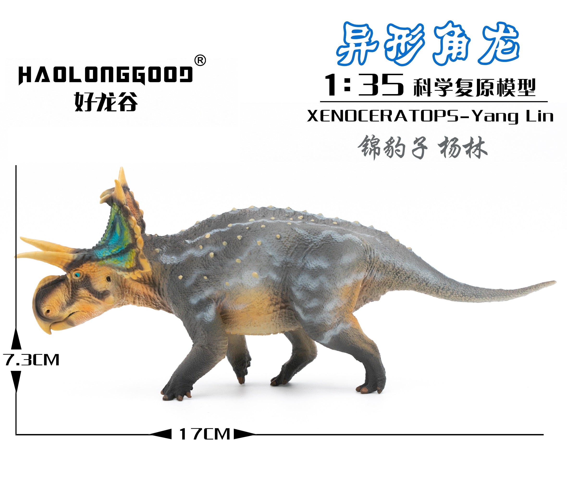 HAOLONGGOOD 1:35 Scale Xenoceratops Model