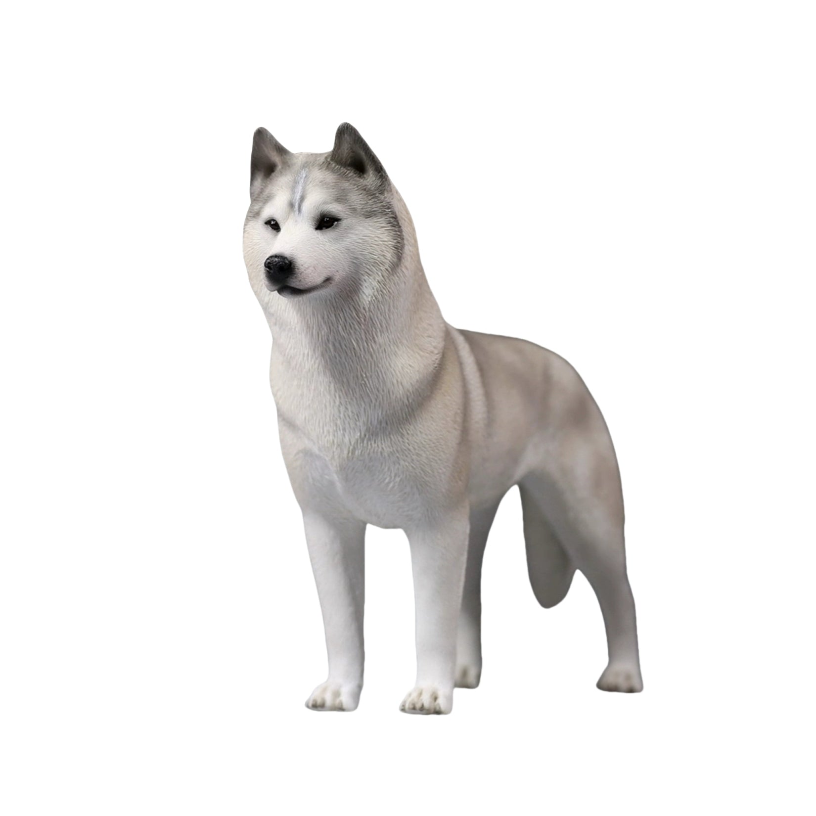 1/6 Siberian Husky Figure