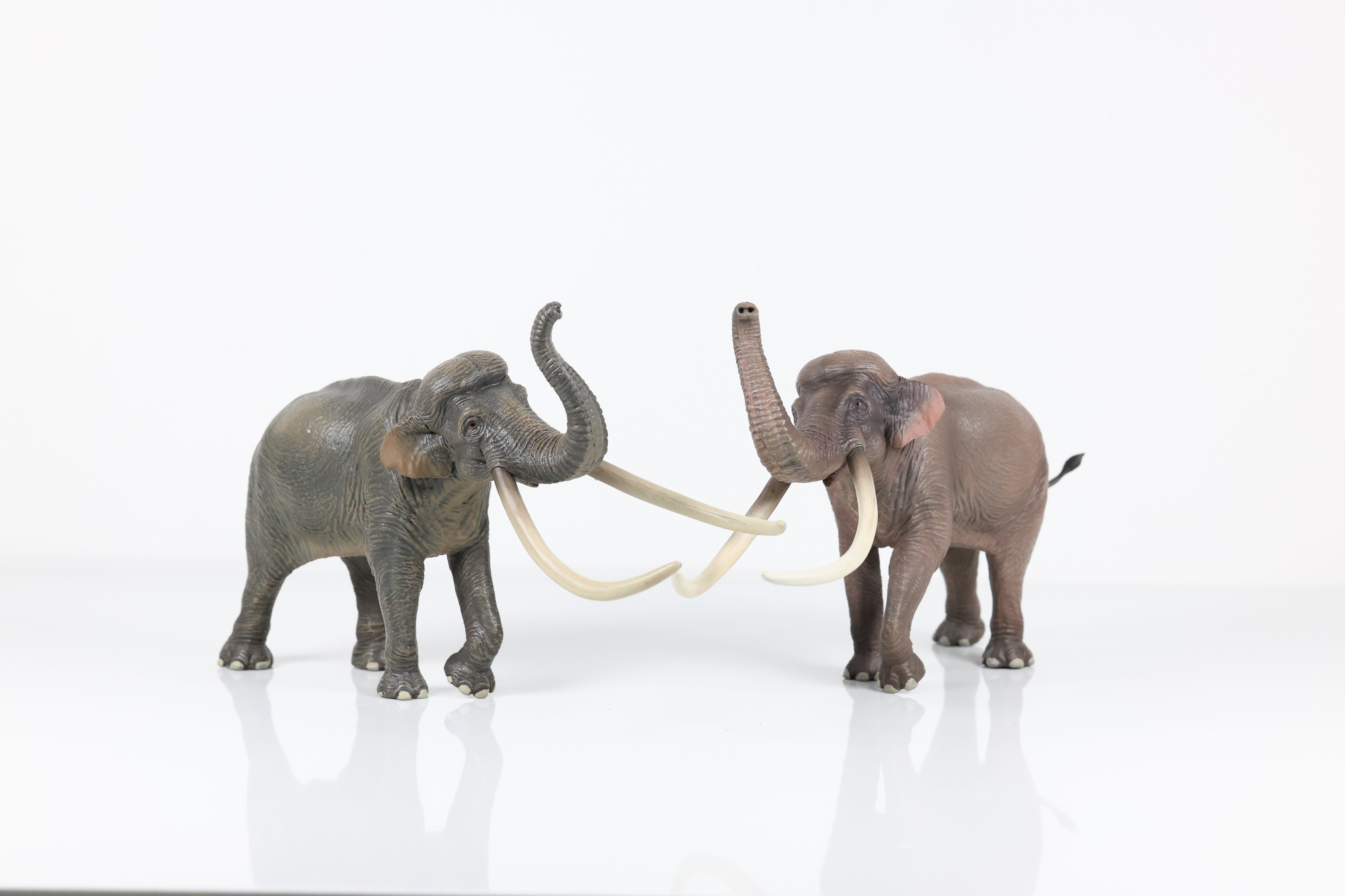 HAOLONGGOOD 1:35 Scale Palaeoloxodon Model