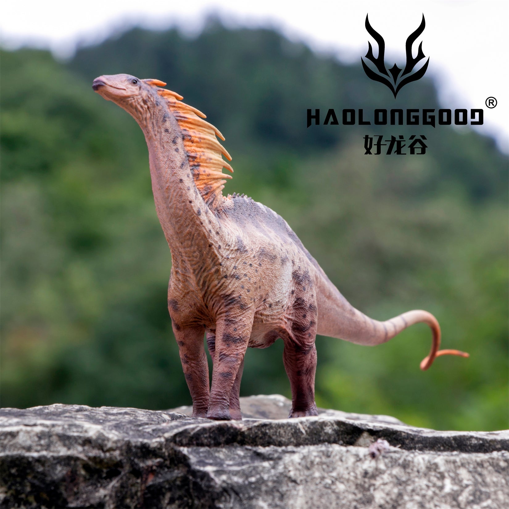 HAOLONGGOOD 1:35 Scale Amargasaurus Model