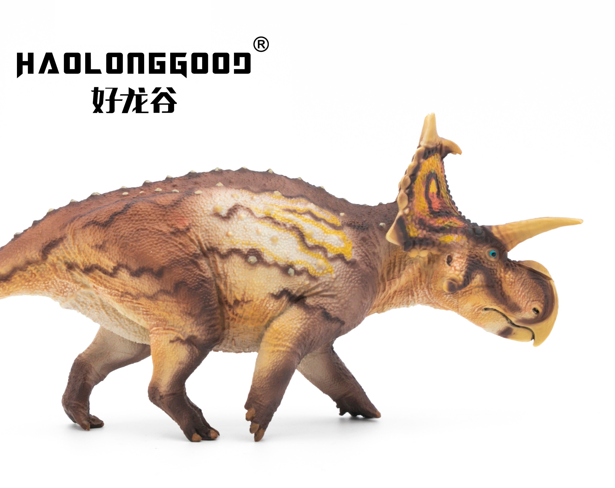 HAOLONGGOOD 1:35 Scale Xenoceratops Model