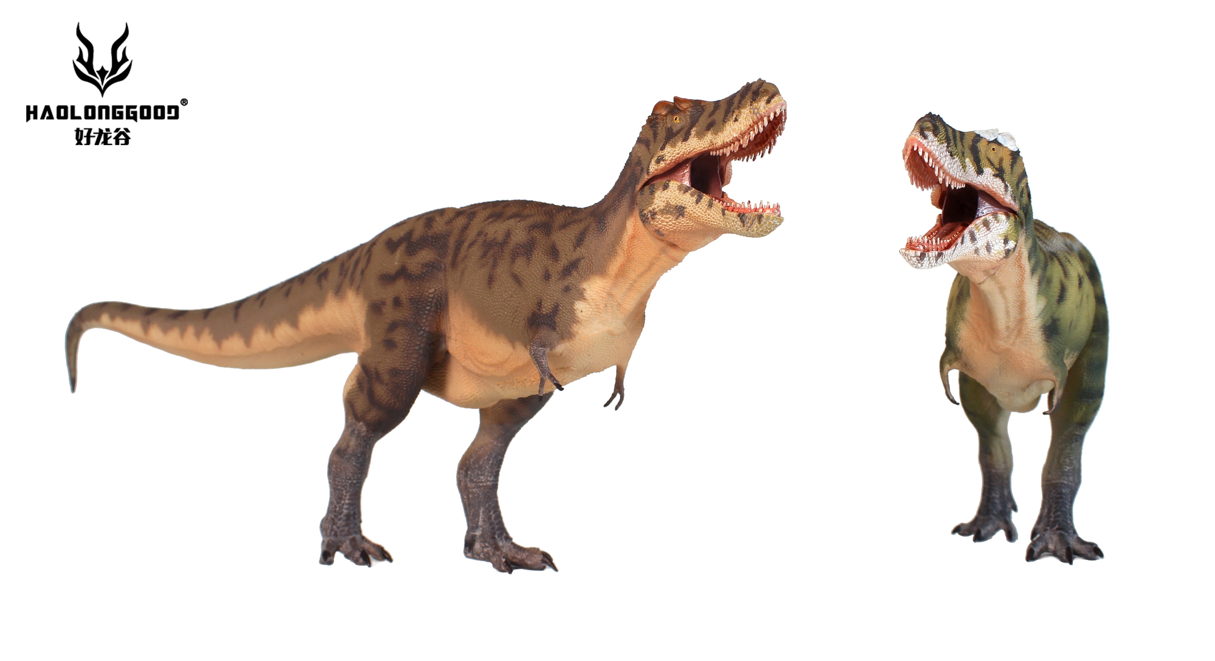 HAOLONGGOOD 1:35 Scale Tarbosaurus Model