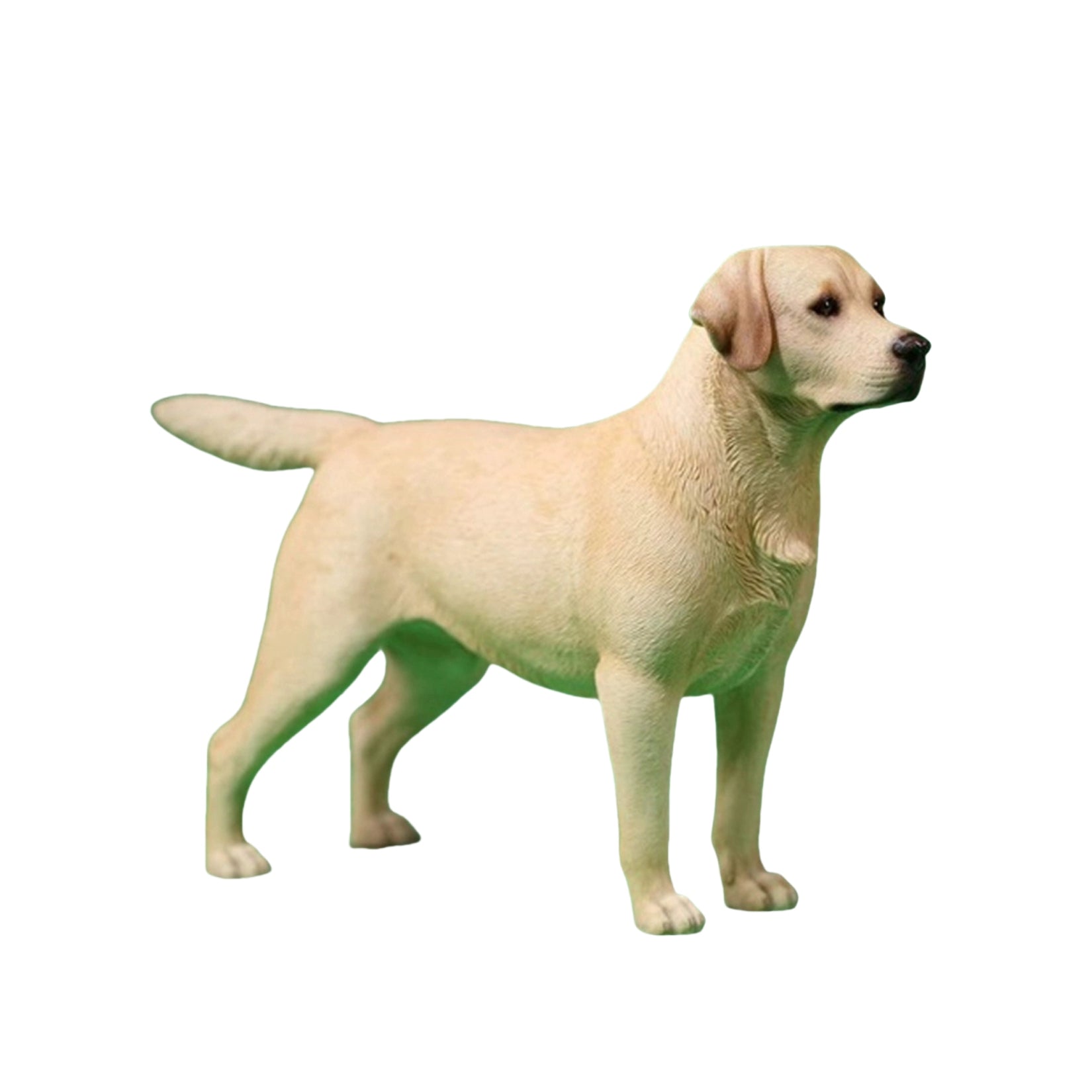 1/6 Labrador Retriever Figure