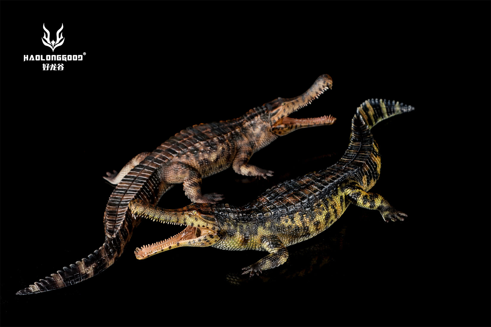 HAOLONGGOOD 1:35 Scale Sarcosuchus imperator Model
