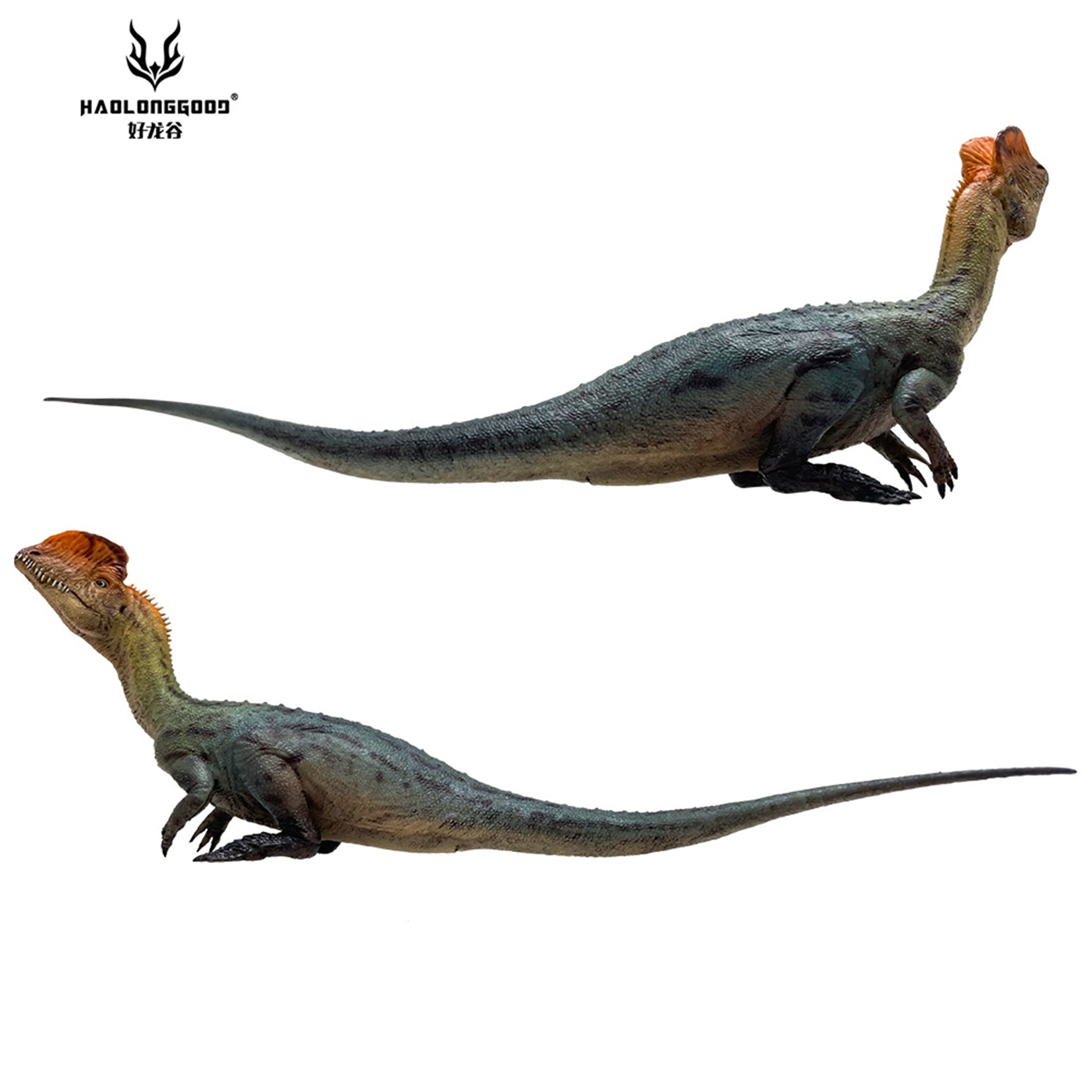 HAOLONGGOOD 1:35 Scale Dilophosaurus Pair Model