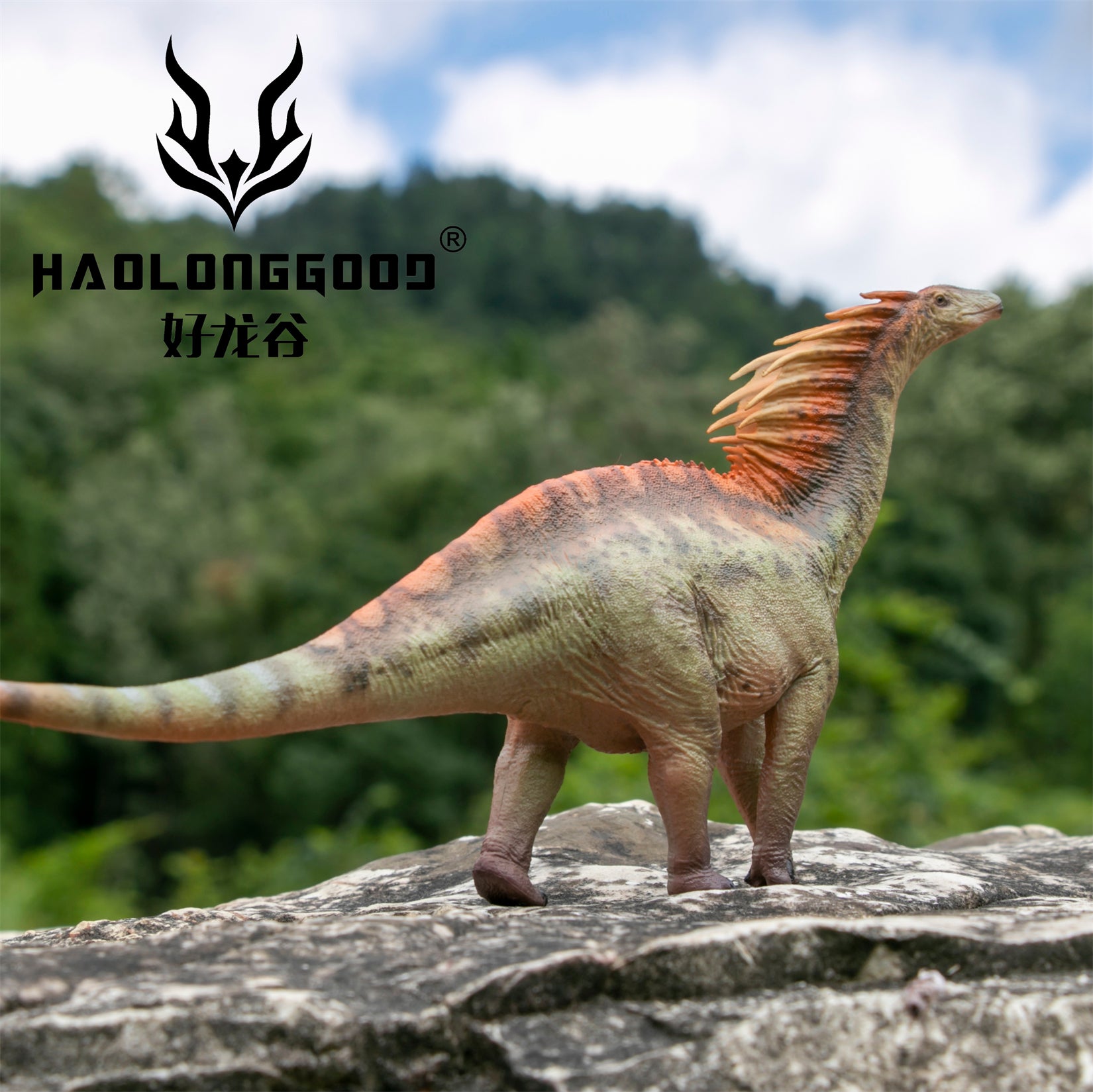 HAOLONGGOOD 1:35 Scale Amargasaurus Model