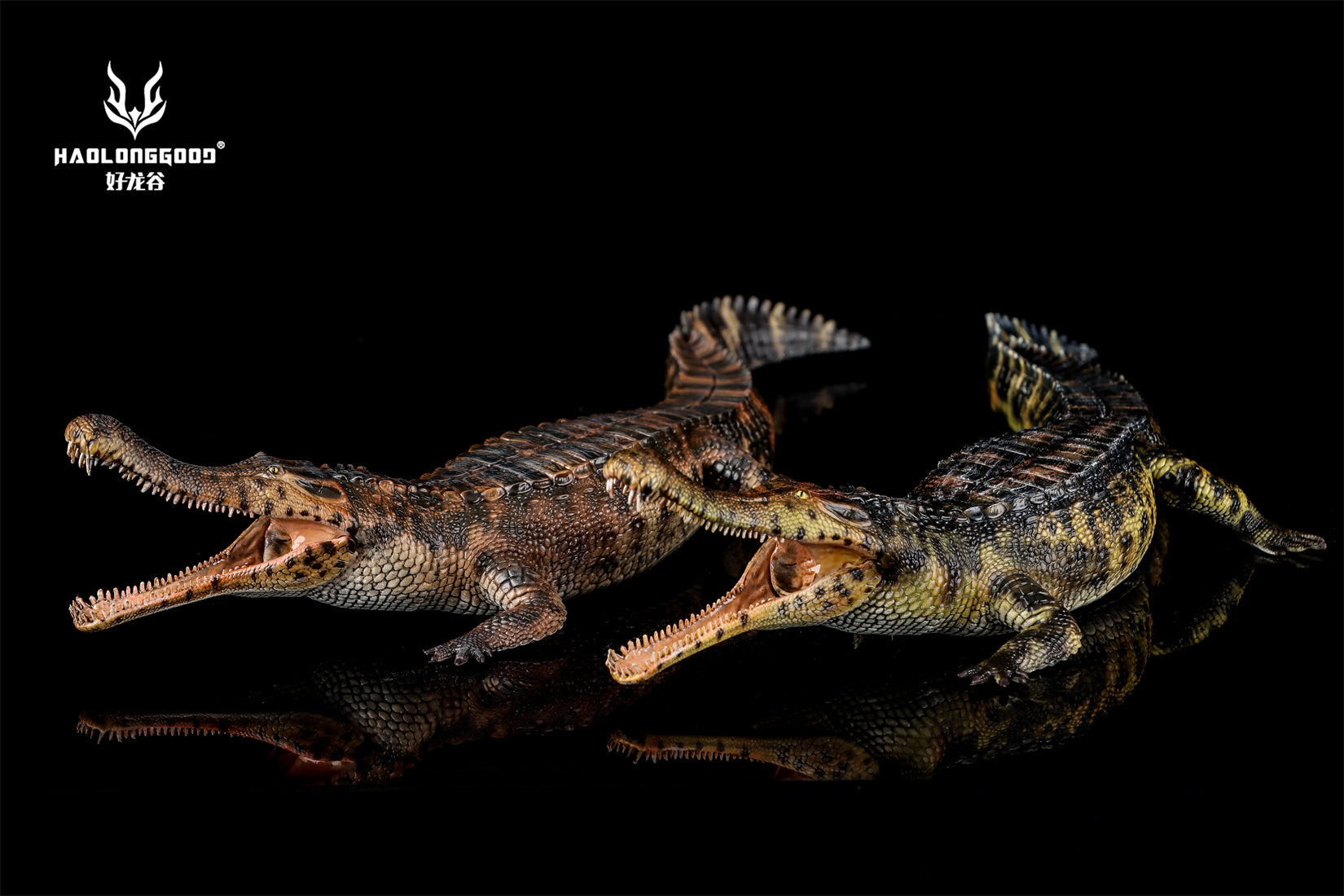 HAOLONGGOOD 1:35 Scale Sarcosuchus imperator Model
