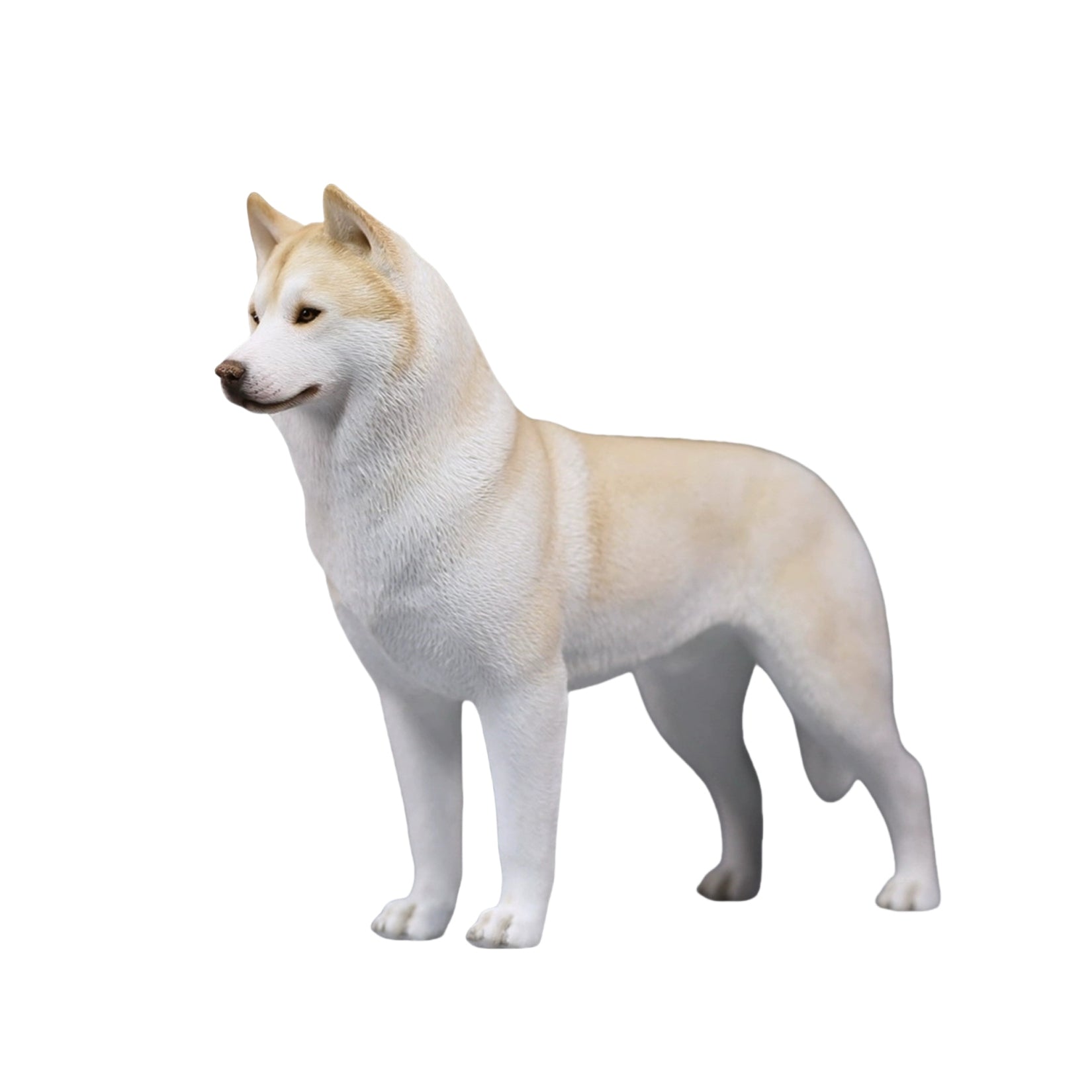 1/6 Siberian Husky Figure
