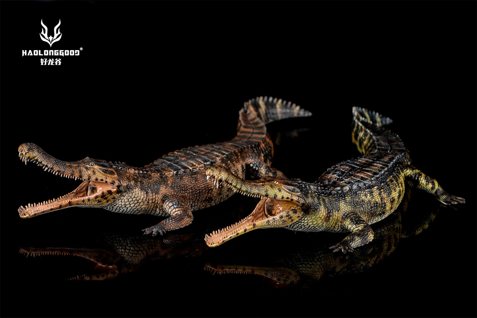 HAOLONGGOOD 1:35 Scale Sarcosuchus imperator Model