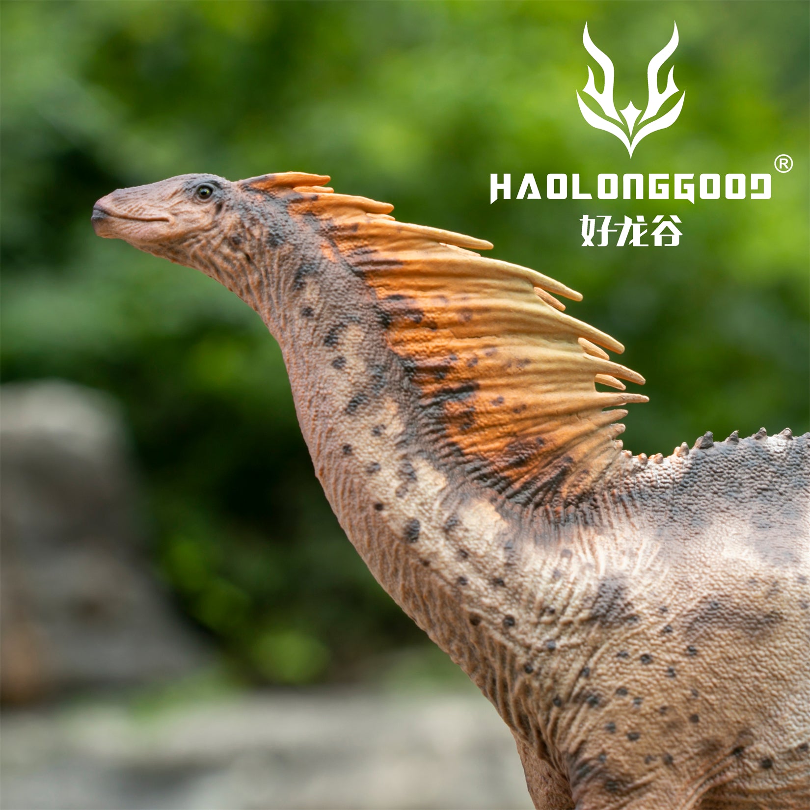 HAOLONGGOOD 1:35 Scale Amargasaurus Model